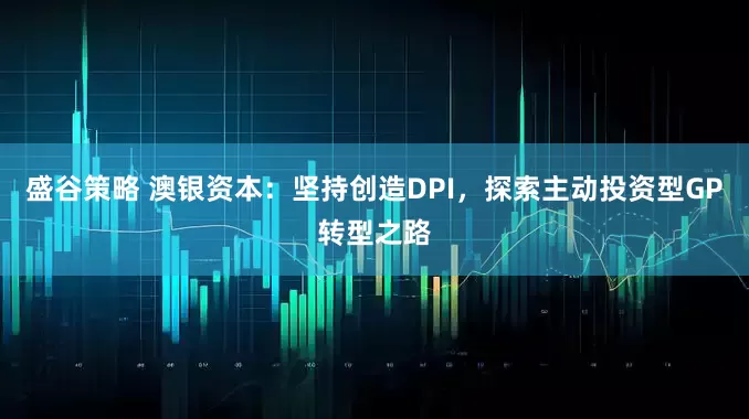 盛谷策略 澳银资本：坚持创造DPI，探索主动投资型GP转型之路
