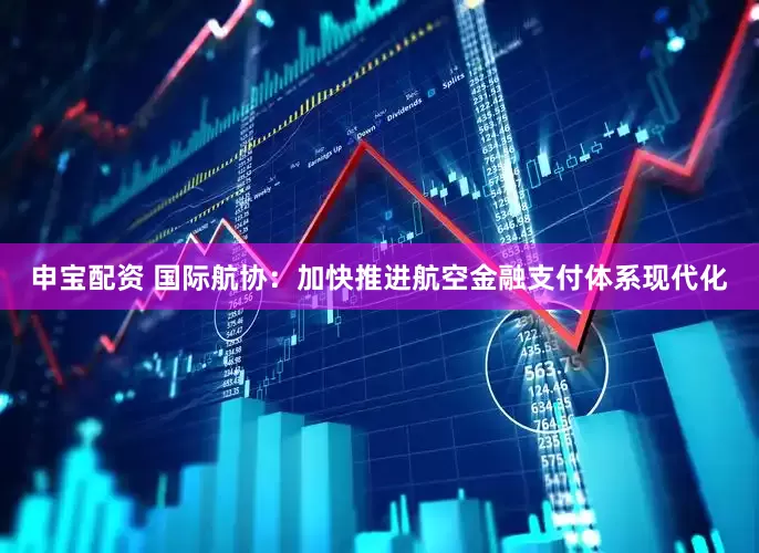 申宝配资 国际航协：加快推进航空金融支付体系现代化