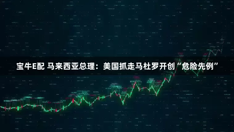 宝牛E配 马来西亚总理:美国抓走马杜罗开创“危险先例”