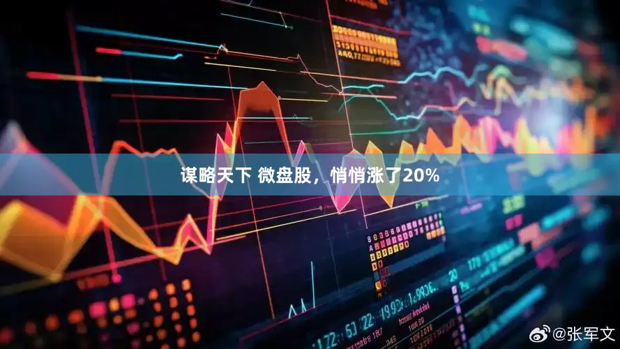 谋略天下 微盘股，悄悄涨了20%